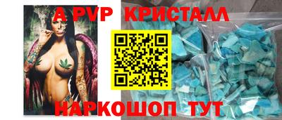спиды Новозыбков