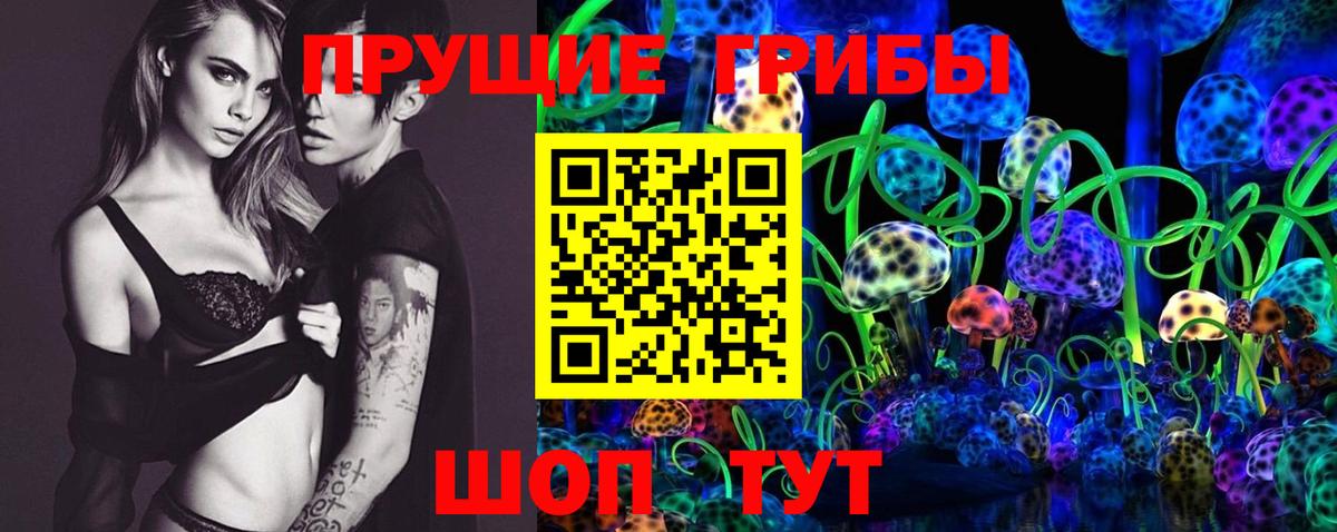 Псилоцибиновые грибы мицелий  Вход с VPN  Псилоцибиновые грибы Cubensis  Тамбов 
